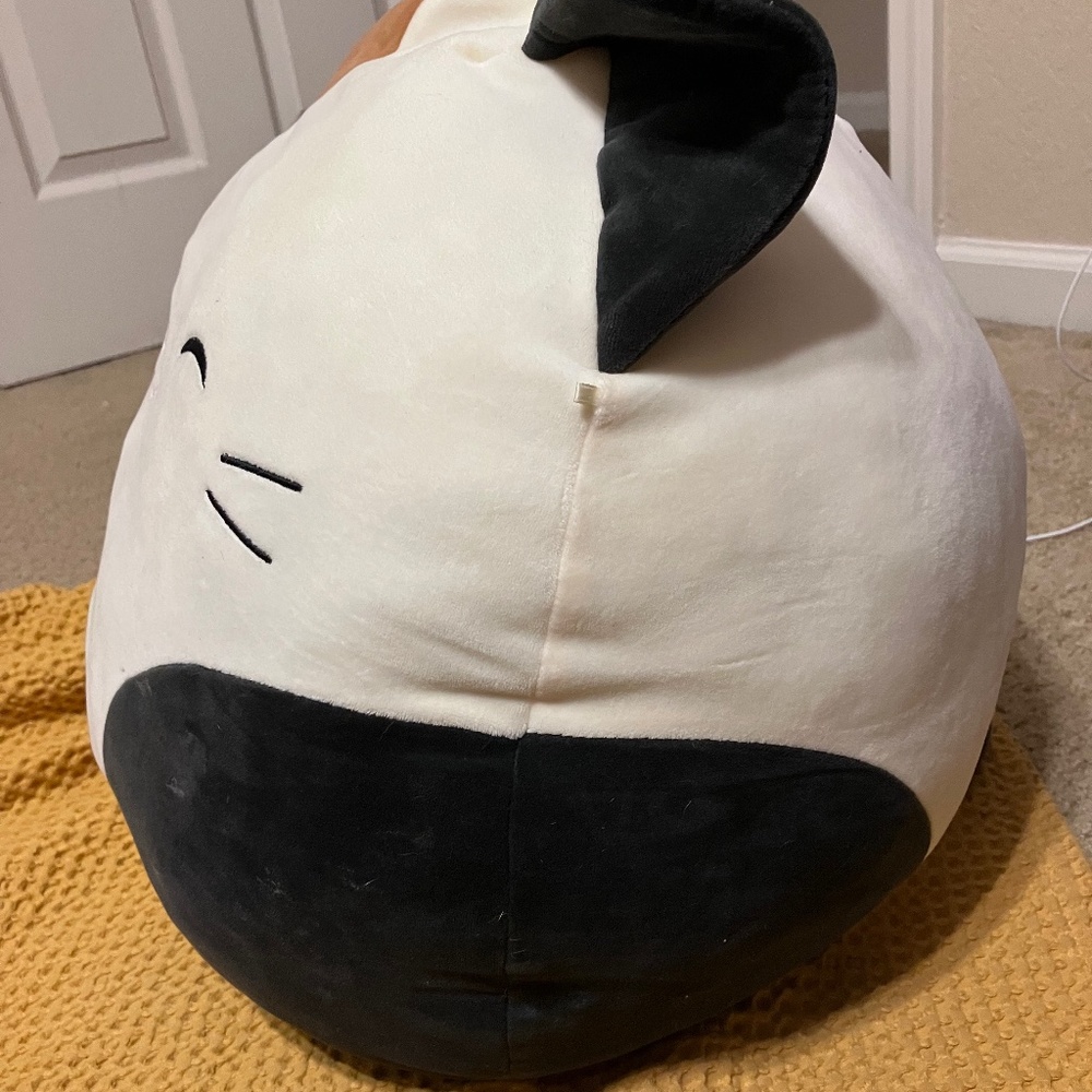 RARE cat Squishmallow